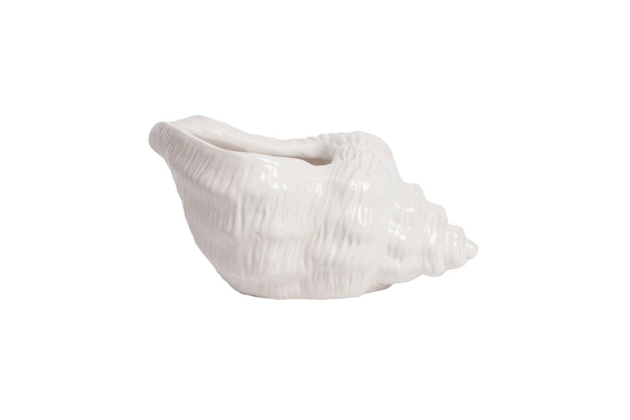 Ракушки декоративные белые 3 штуки Monpelier - изображение 3