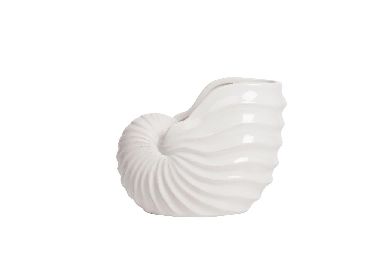 Ракушки декоративные белые 3 штуки Monpelier - изображение 4