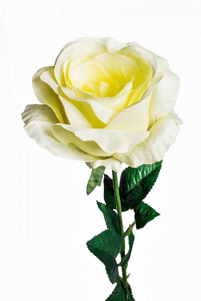 Искусственный цветок "Роза" белая 71 см (24)