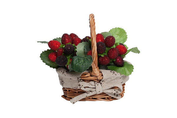 Искусственный цветок Wild Strawberry - изображение 1