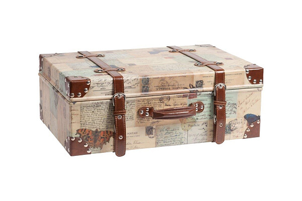 Кейс для хранения Darwin Grande - изображение 1