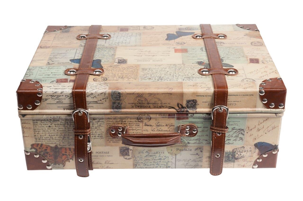 Кейс для хранения Darwin Grande - изображение 4