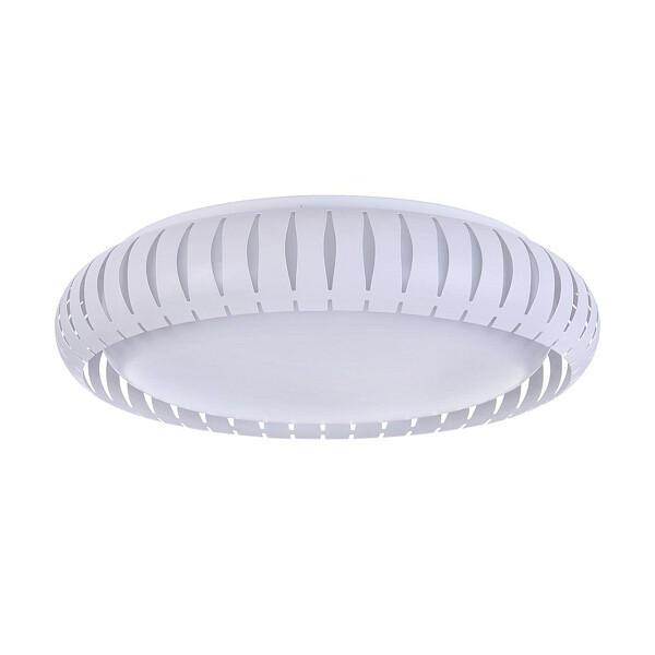 Потолочный светодиодный светильник Assanta FR6159-CL-24W-W - изображение 1