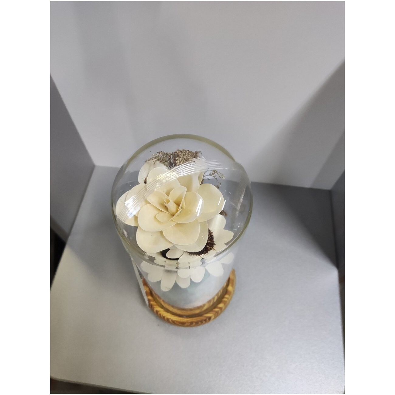 Купол стеклянный Цветы Зелёный - изображение 2