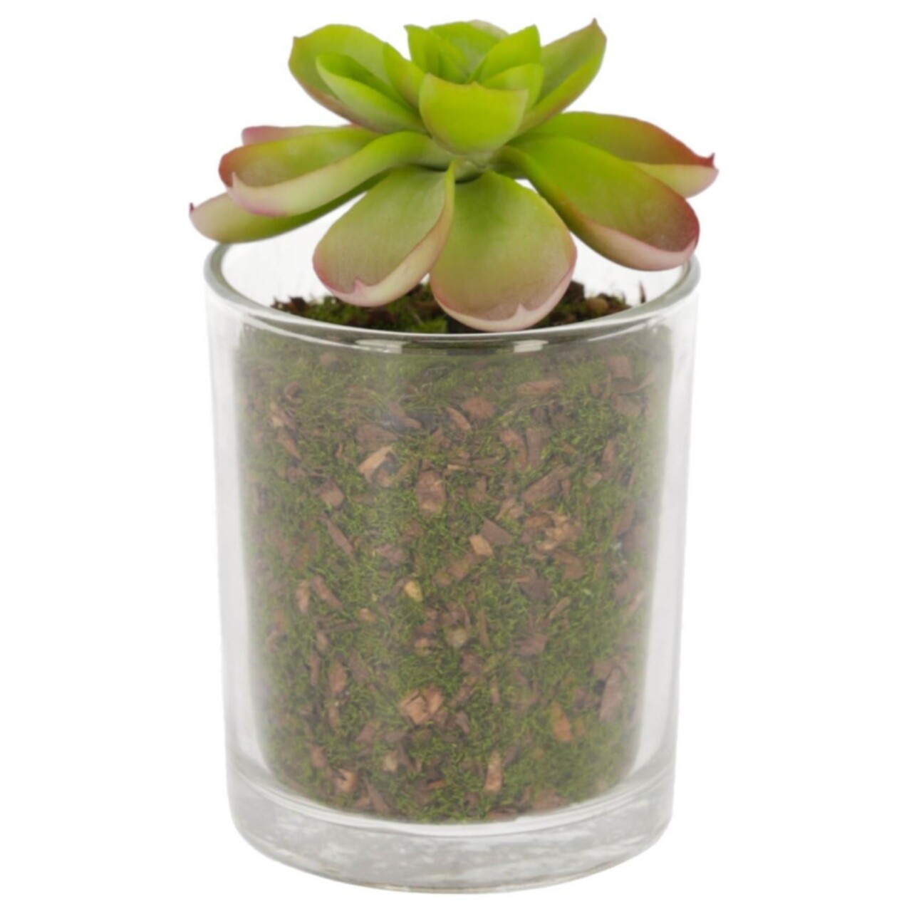Цветок искусственный суккулент в стеклянном горшке 11 см Zelena от La Forma- купить за 2190 руб в интернет-магазине DG-Home