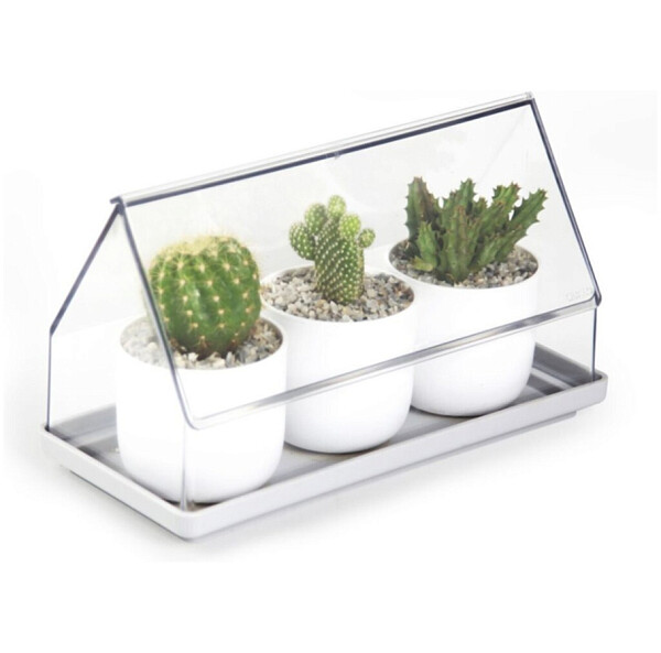 Лоток для выращивания растений Micro Green House - изображение 1