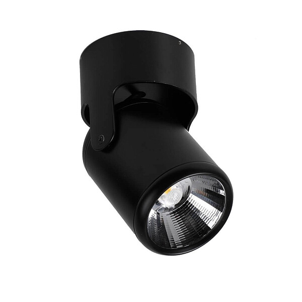 Спот потолочный светодиодный черный металлический Projector - изображение 1