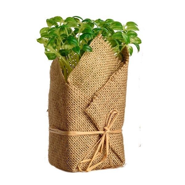 Искусственное растение Potted Herb Selena - изображение 1