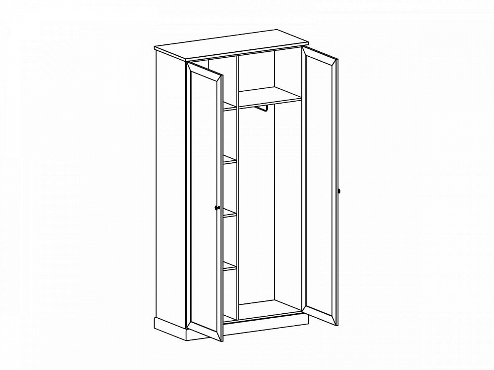Шкаф распашной в прихожую двухдверный