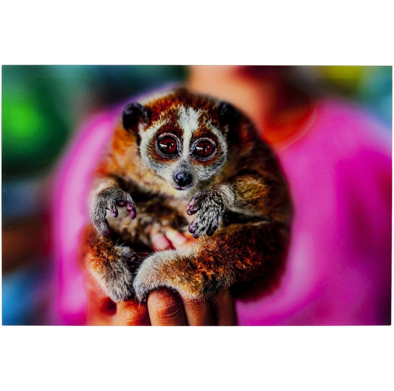 Картина на закаленном стекле коричневый с розовым Lemur 