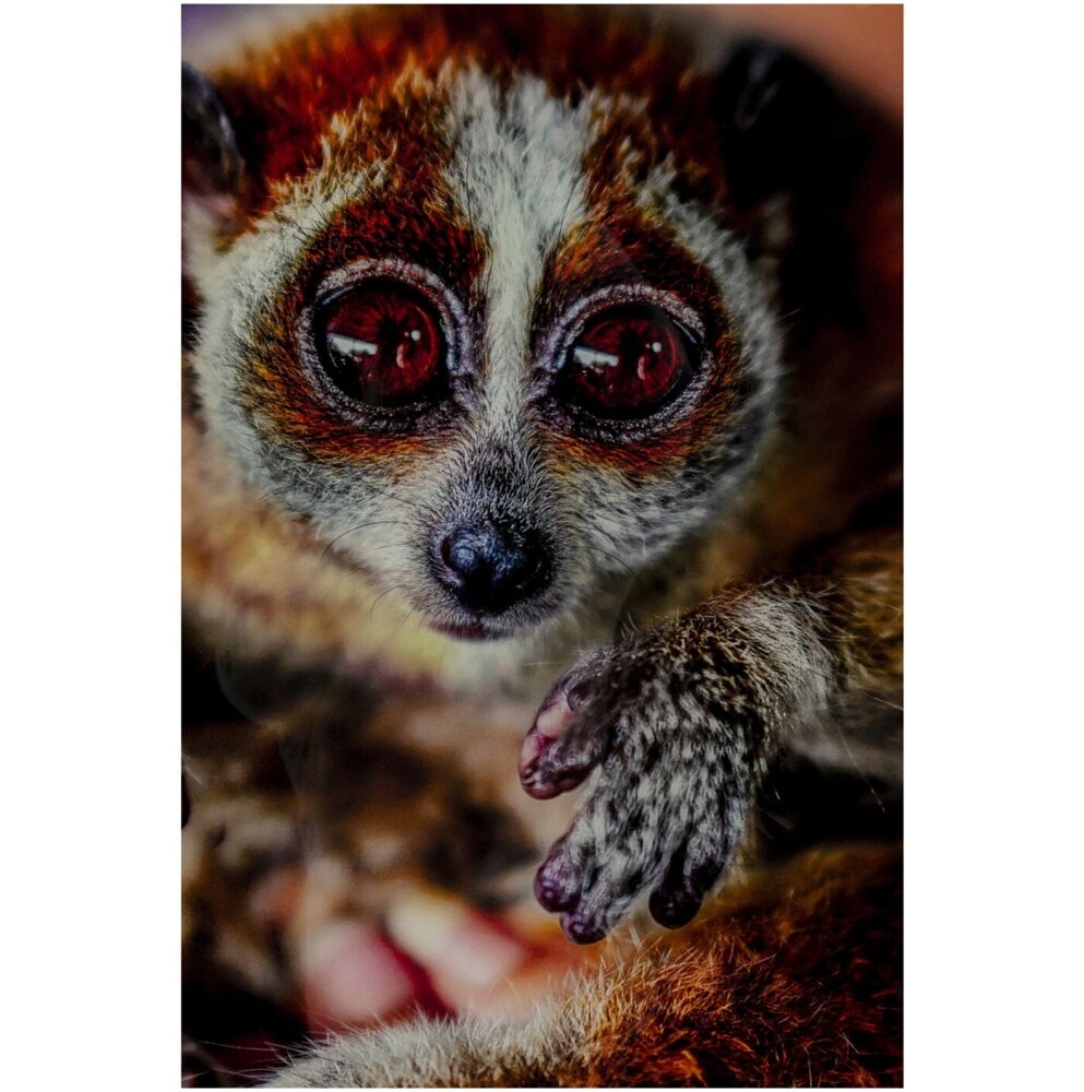 Картина на закаленном стекле коричневый с розовым Lemur 