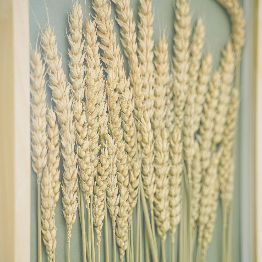 Сухая пшеница в интерьере