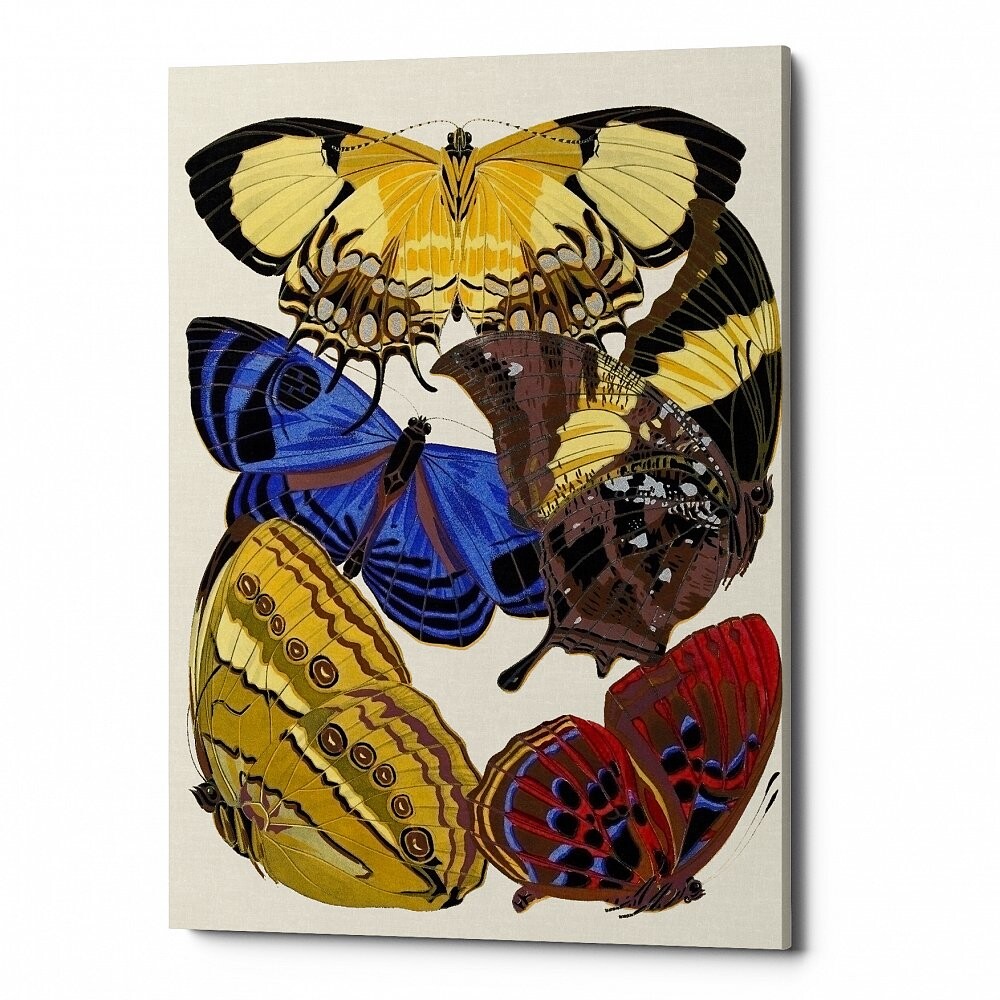 Картина на зеркале с бабочкой