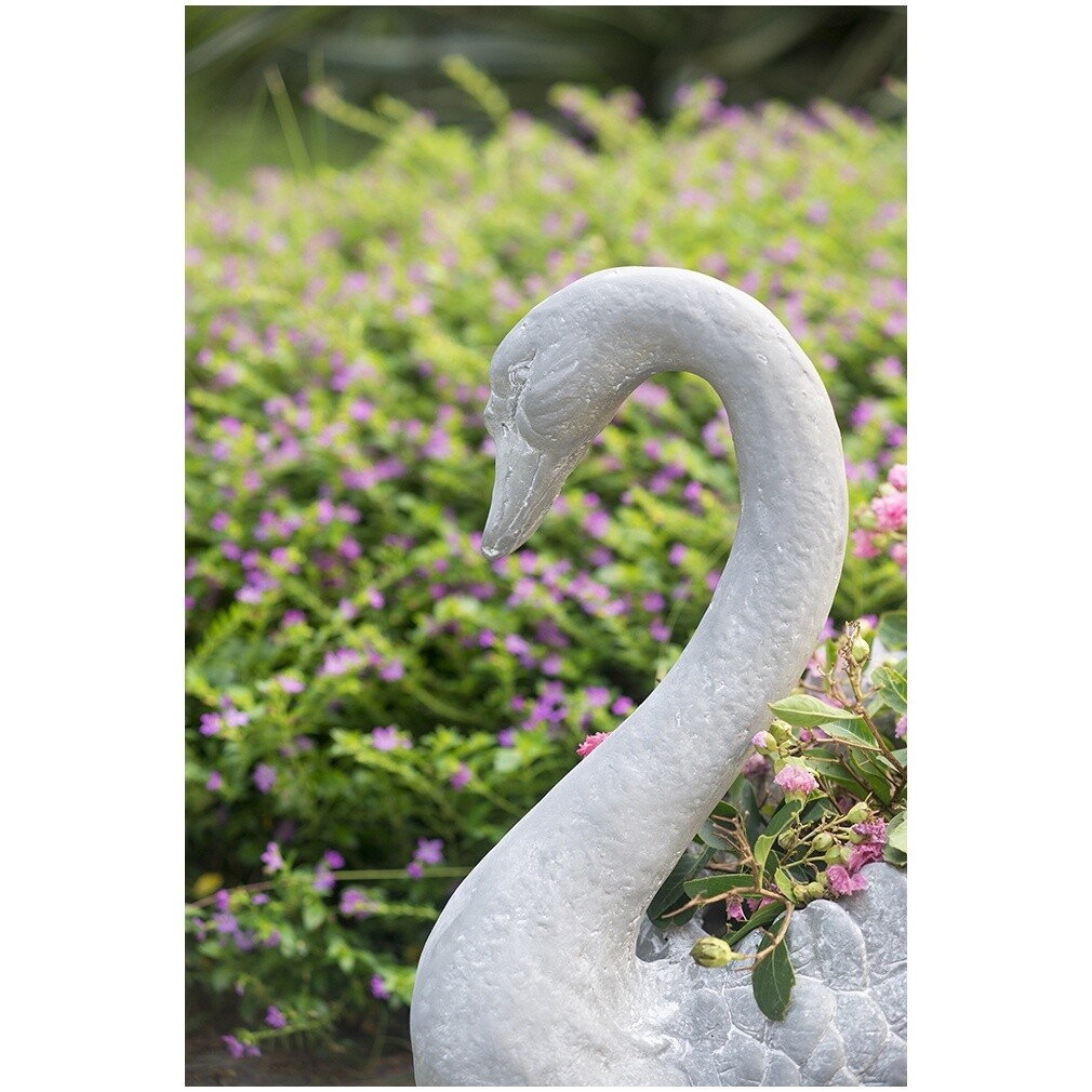 Лебедь-кашпо – это изысканное украшение садового ландшафта.