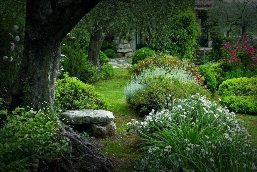 Создаем сад в природном стиле!