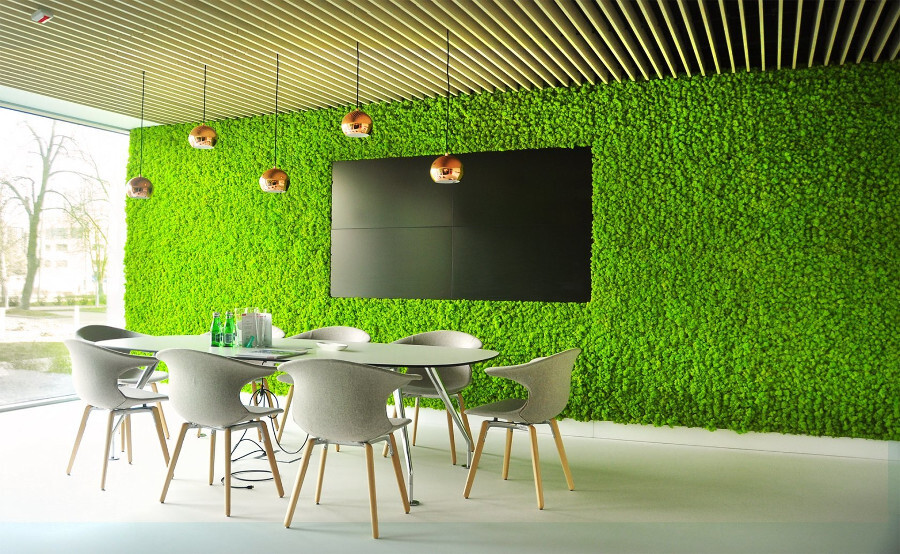 Стабилизированный мох | Garden wall art, Moss wall art, Plant decor