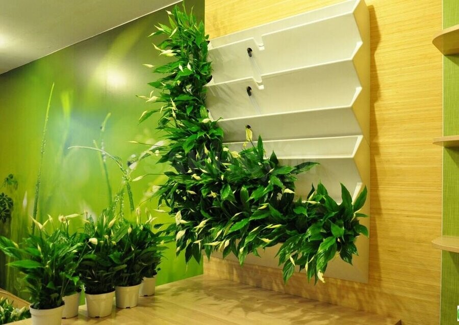 Зеленая стена из растений в интерьере