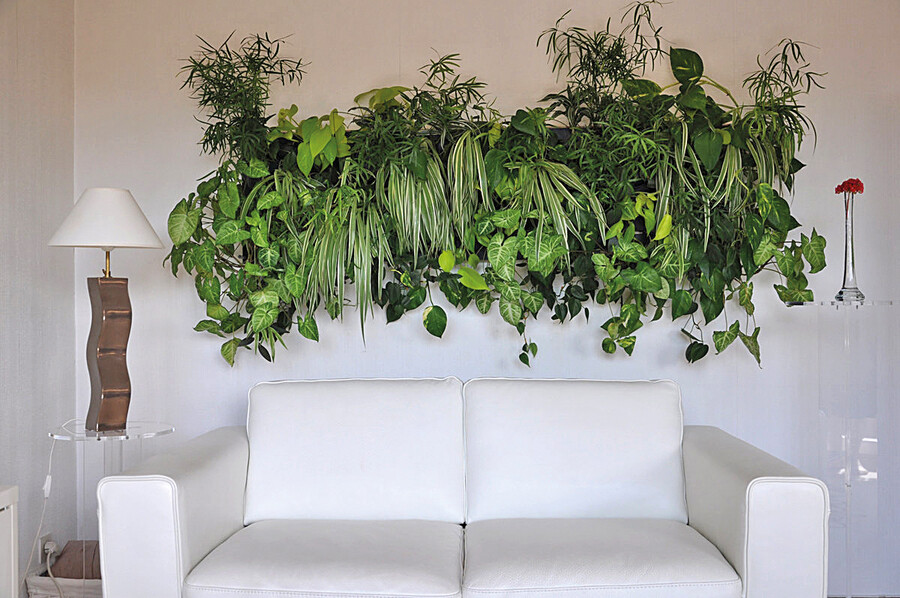 Зелёная стена в интерьере: 53 идеи оформления вертикального сада