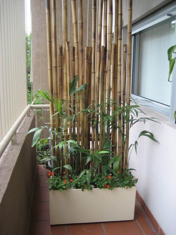 Бамбук в интерьере потрясающей террасы в Сан-Паулу, Бразилия