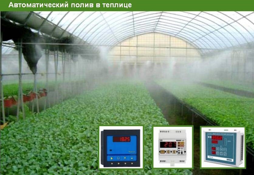 На фото разновидность автоматического орошения в теплице