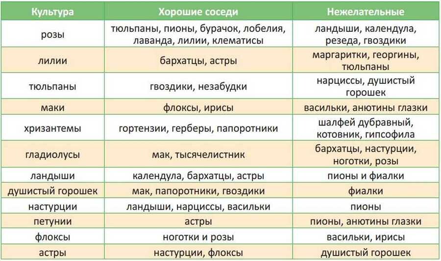 Сочетаемость