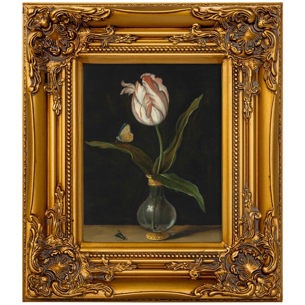 Репродукция картины с золотой раме «Натюрморт с тюльпаном»