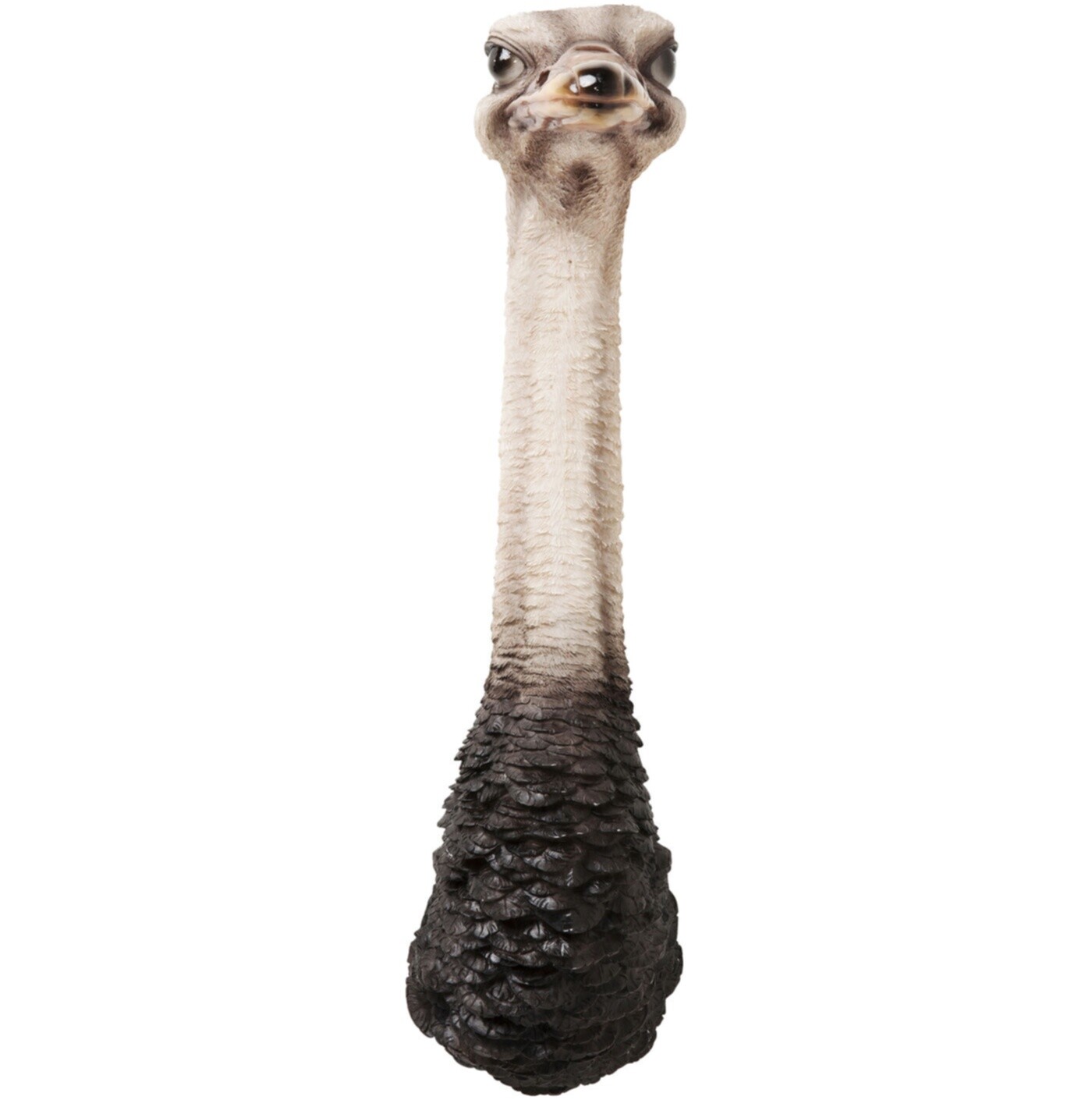 Украшение настенное коричневое Ostrich