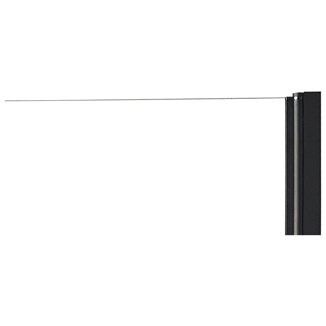 Душевая дверь в нишу распашная стеклянная прозрачная Parly DE90B - изображение 5