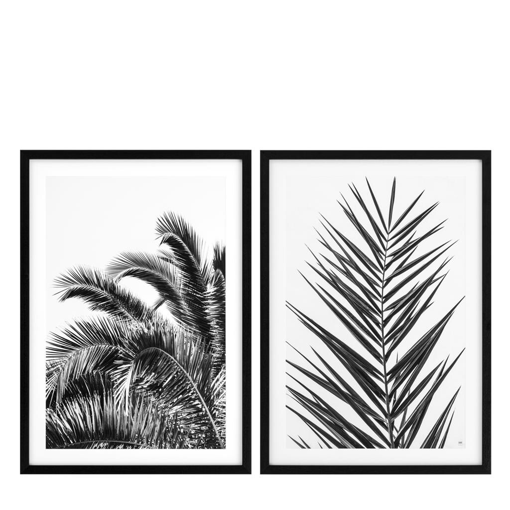 Постеры в раме 2 шт Prints Palm Leaves