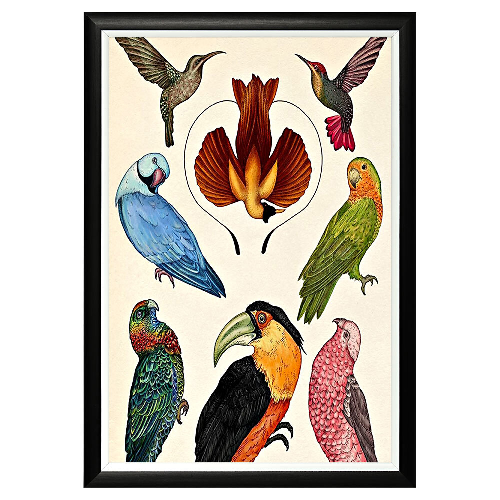 Арт-постер «Райские птички»