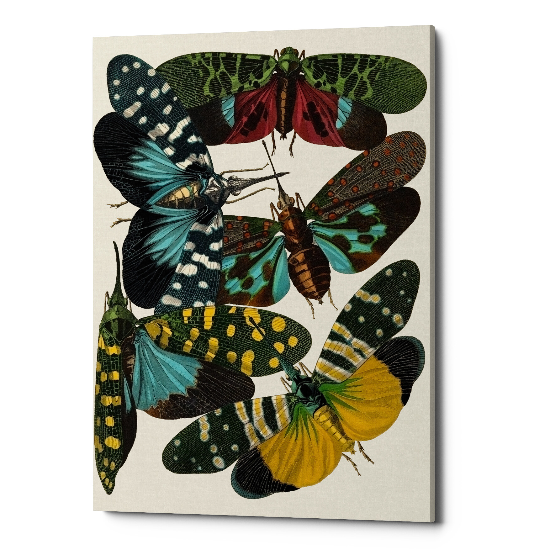 Картина на холсте черно-голубая «Бабочки мира 9»