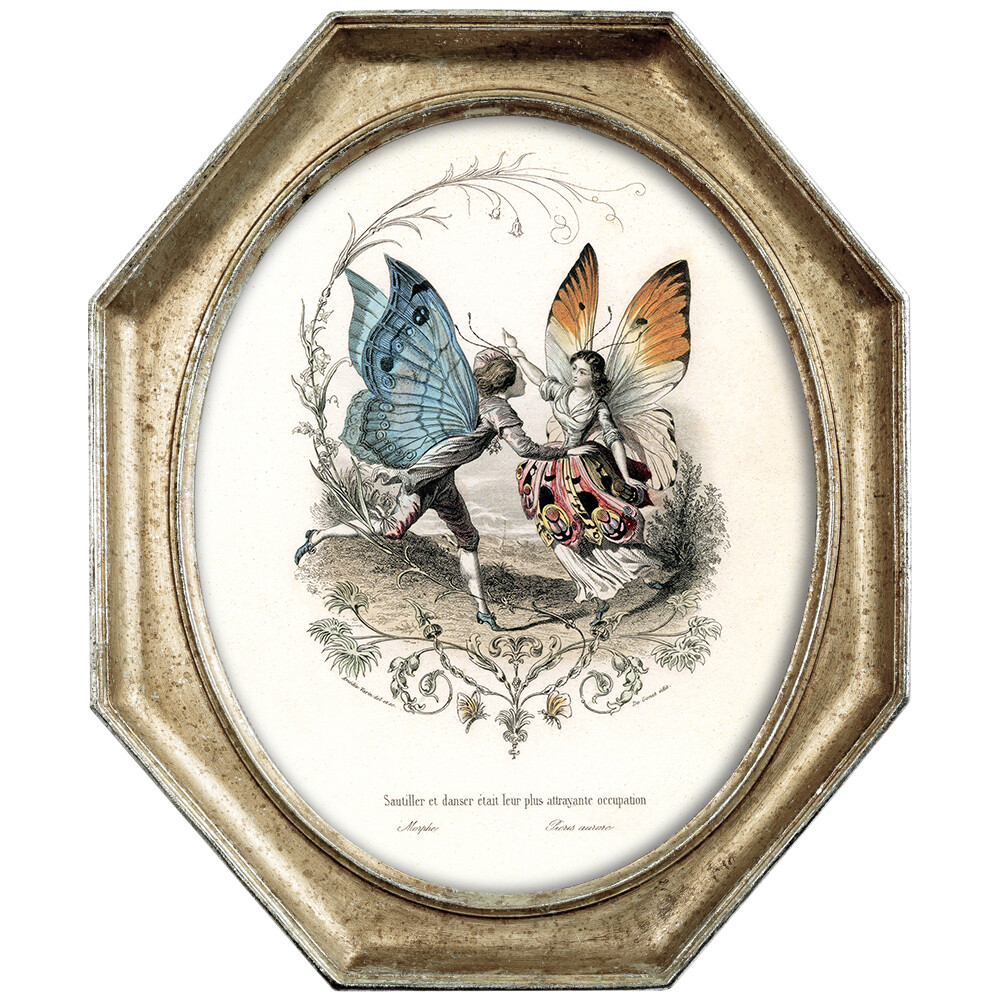 Картина на холсте бежевая «Танец двух бабочек» в раме «Эдита»