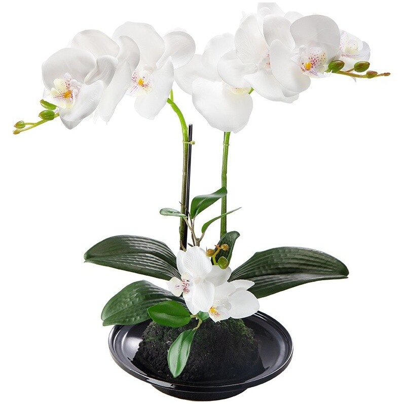 Растение декоративное в горшке 34х32х15 см белое, черное &quot;Орхидея&quot;