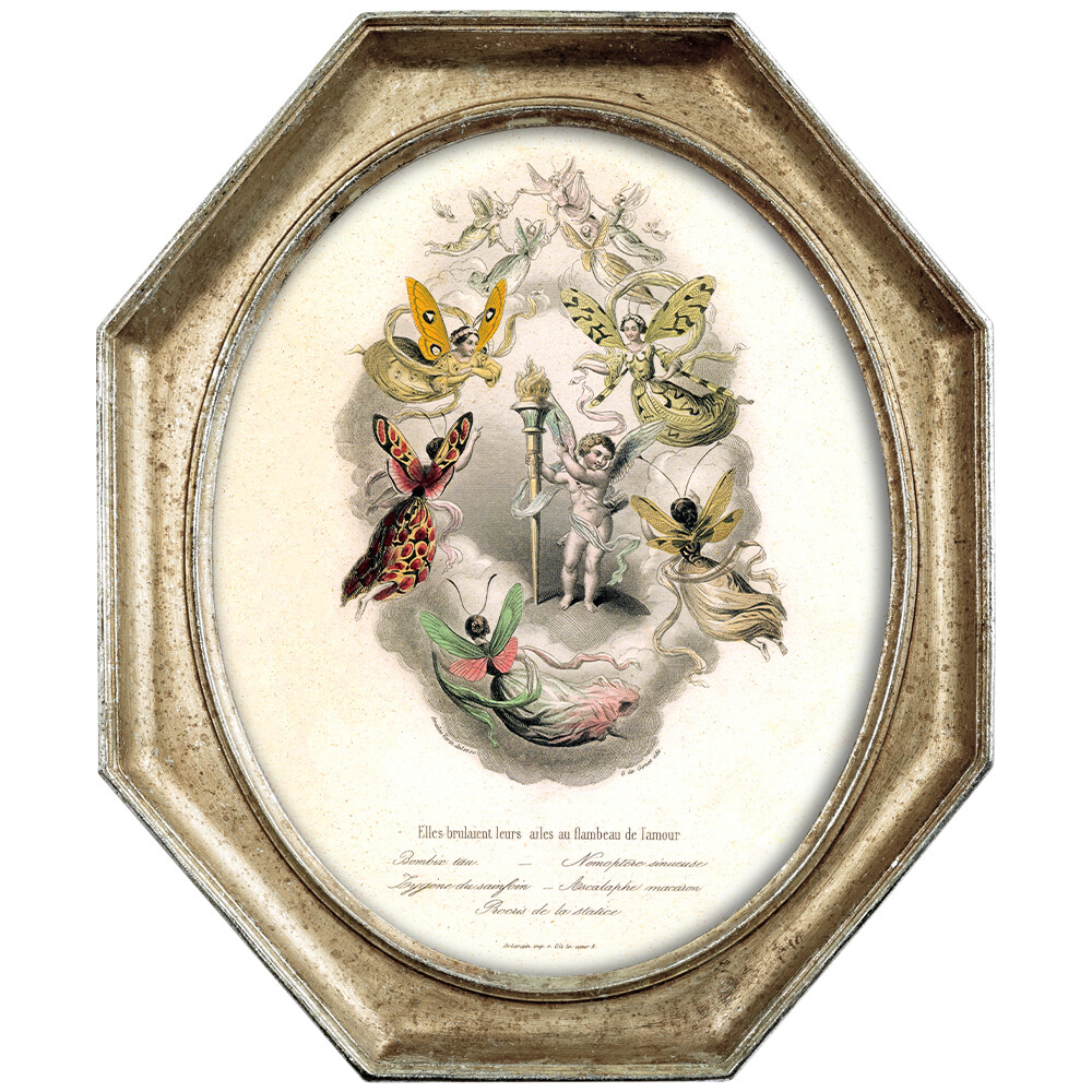 Картина на холсте бежевая «Юные бабочки, слетающиеся на пламя любви» в раме «Эдита»