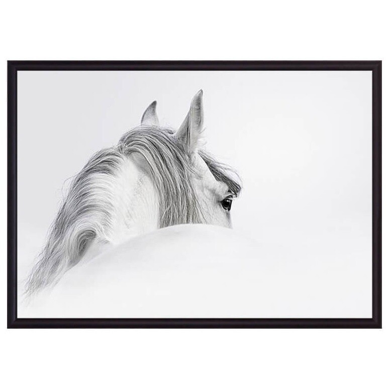 Постер в алюминиевом багете 40х60 см &quot;Белая лошадь 1&quot;