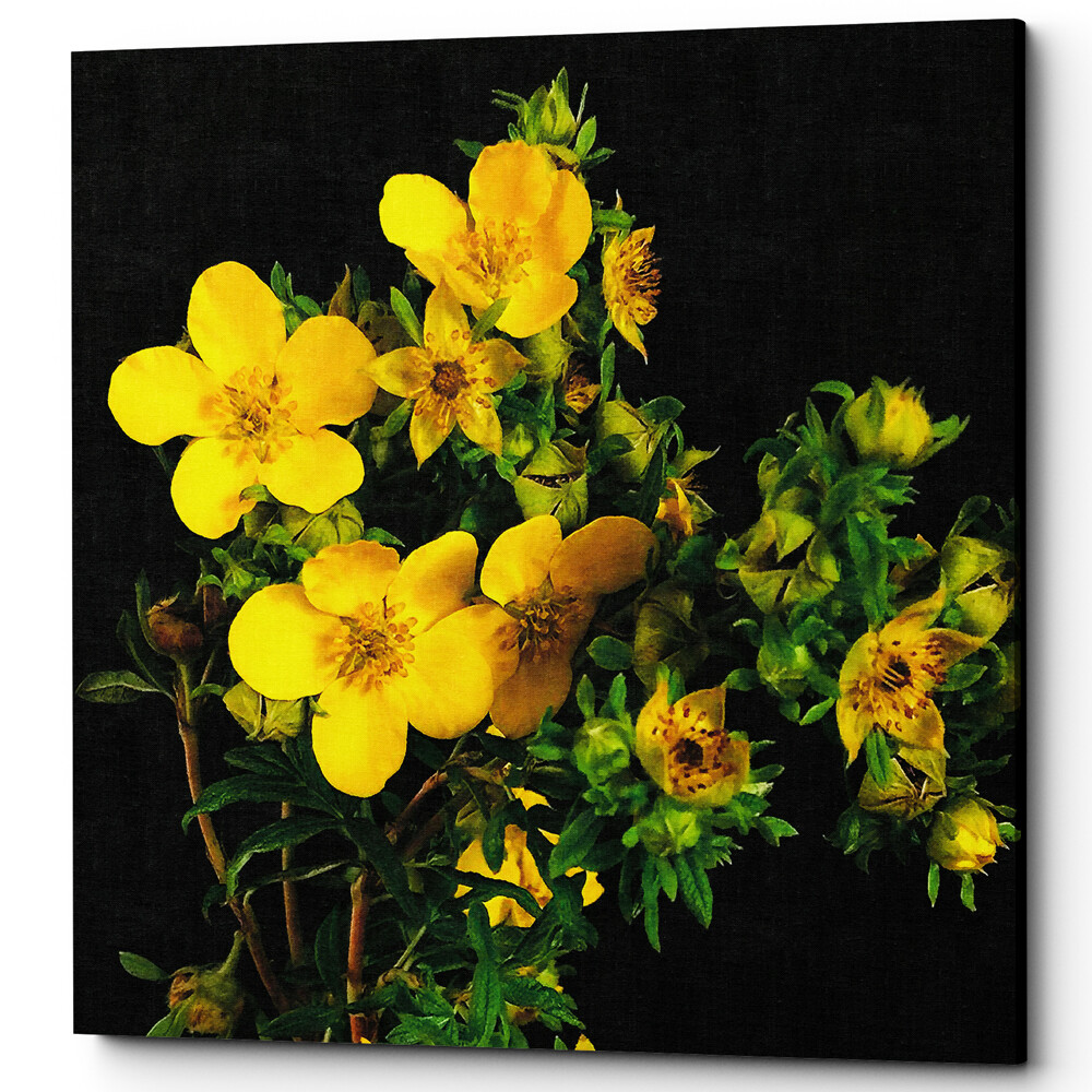 Картина на холсте 60х60 см Spectra Yellow