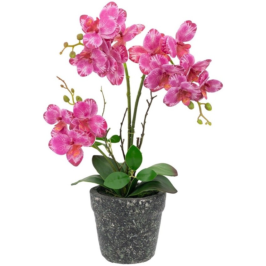 Растение декоративное в горшке 46х26х12 см розовое, черное &quot;Орхидея&quot;