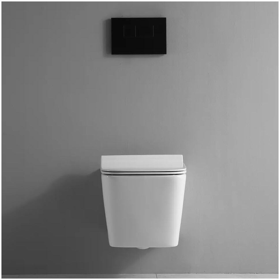 Унитаз подвесной безободковый белый Cerutti SPA Maiella Aria CT7402 - изображение 5