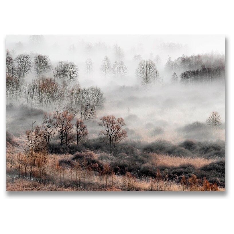 Картина на холсте 50Х70 см серая &quot;Осенний лес в тумане&quot;