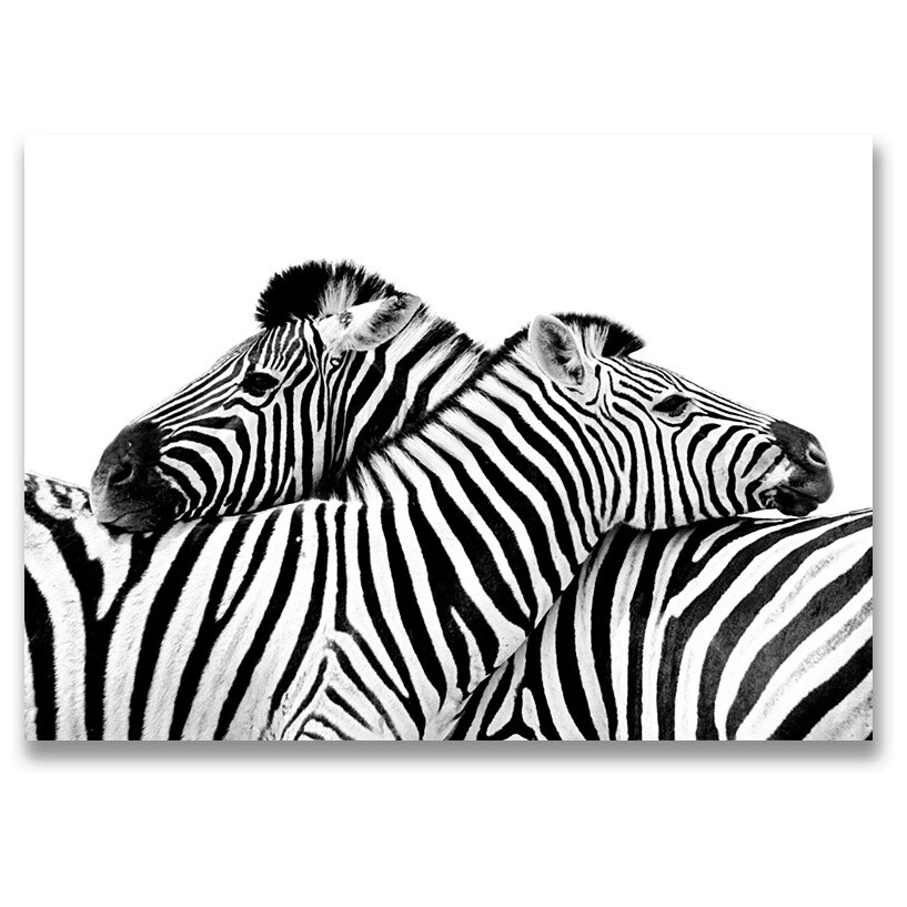 Картина на холсте 50Х70 см монохром &quot;Две зебры&quot;