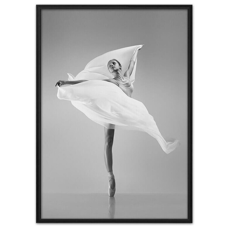 Постер в алюминиевом багете 30х40 см &quot;Балерина с вуалью&quot;