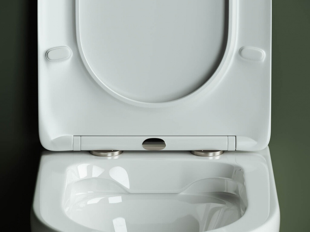 Унитаз Ceramicanova Highlight Rimless CN1804 с инсталляцией Ewrika ProLT 0026-2020 - изображение 10