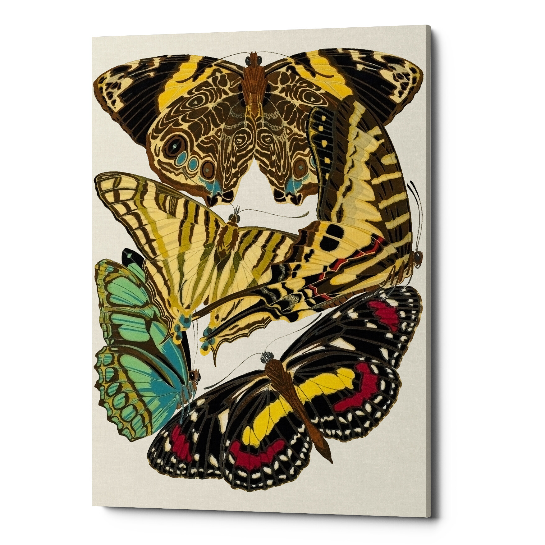 Картина на холсте желто-коричневая «Бабочки мира 3»