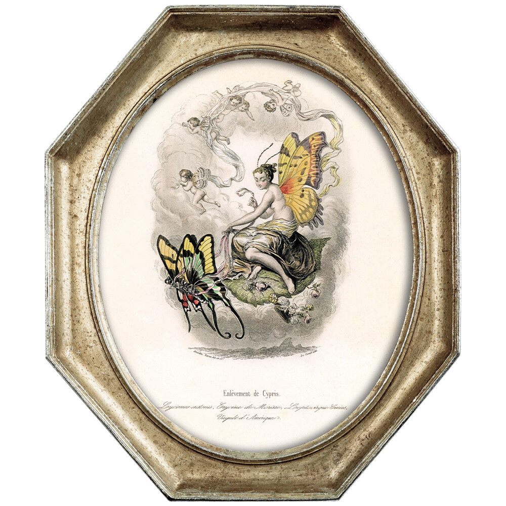 Картина на холсте &quot;Афродита Киприда, похищенная бабочками&quot; в раме &quot;Эдита&quot;