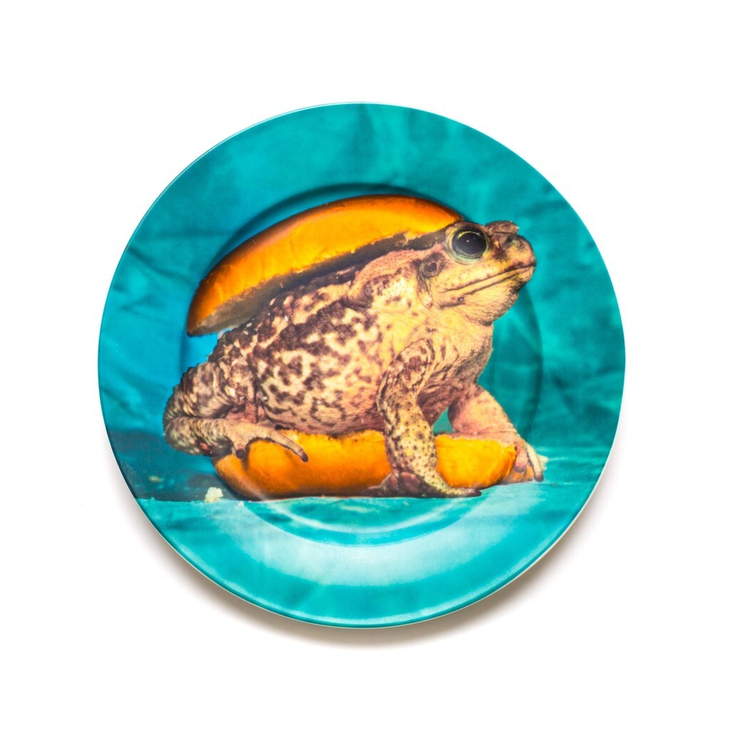 Тарелка круглая фарфоровая 27х27 см бирюзовая с рисунком Toad