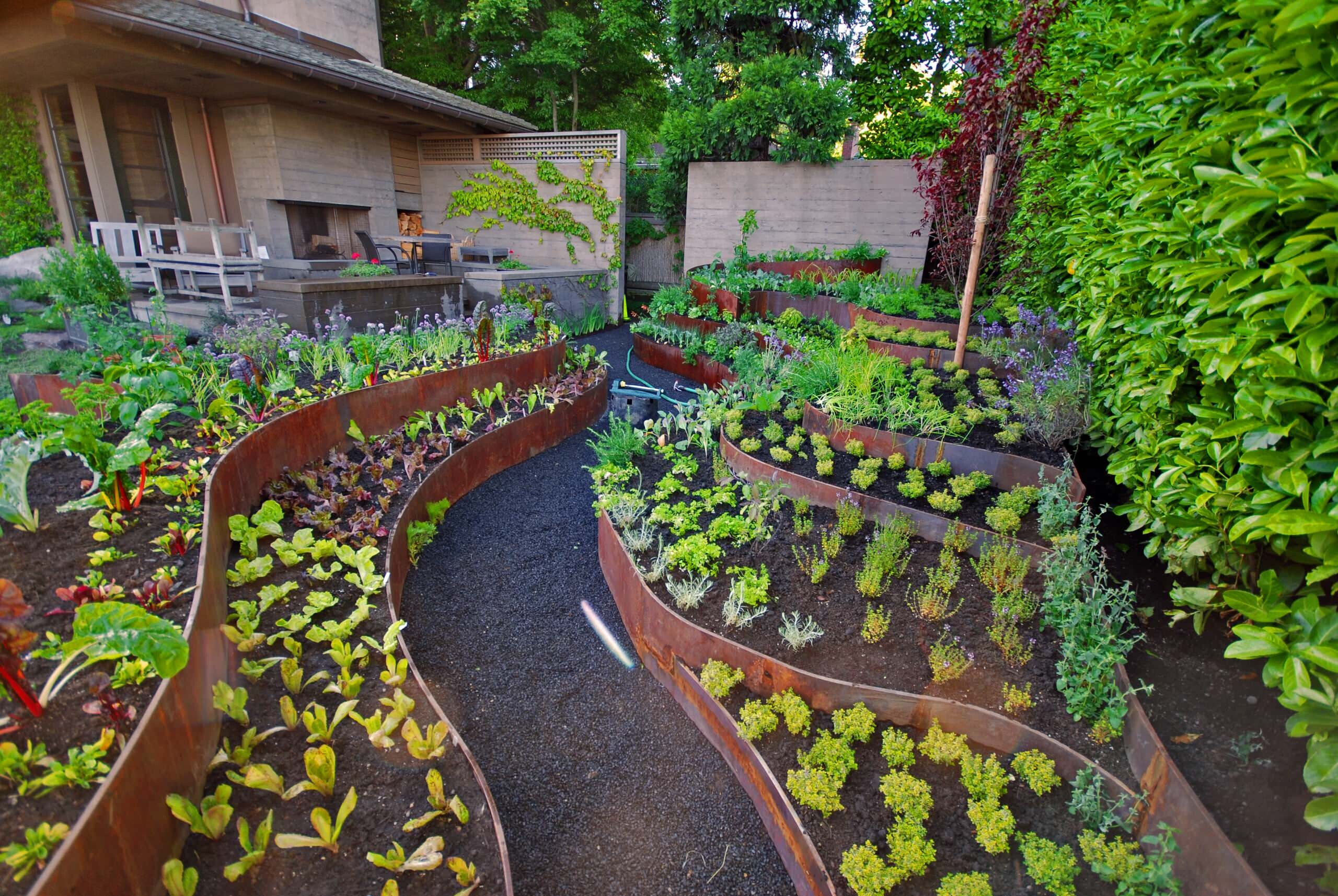 Создание красивых грядок на огороде фото необычных решений с использованием капусты