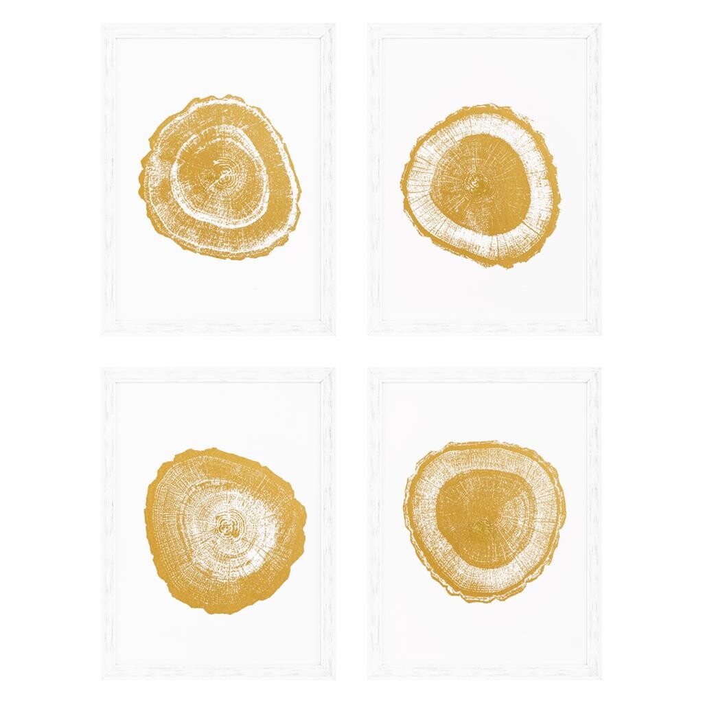 Постеры белые, 4 шт Gold Foil: Tree Rings