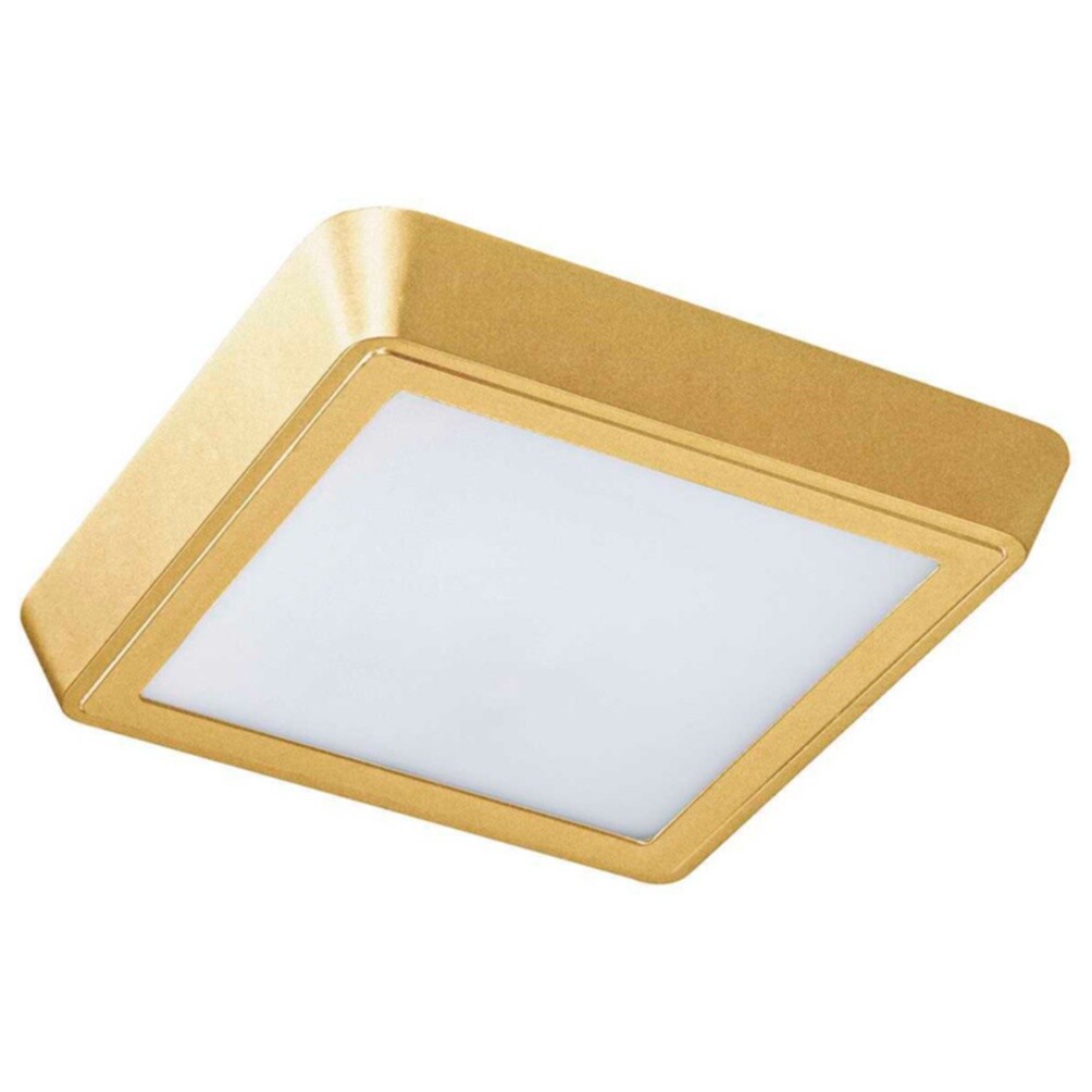 Потолочный светодиодный светильник матовое золото, белый Urbano 216832