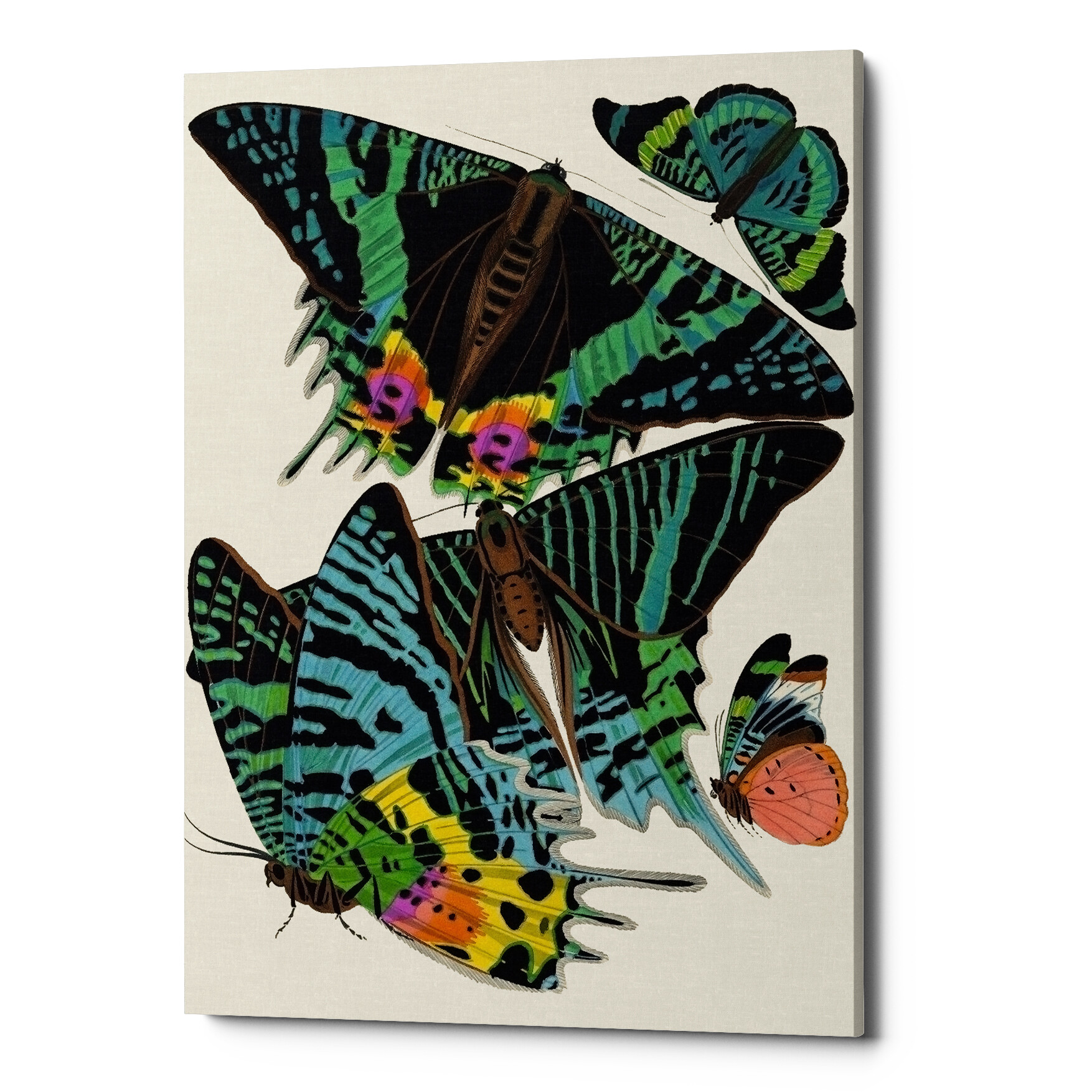 Картина на холсте зеленая «Бабочки мира 11»
