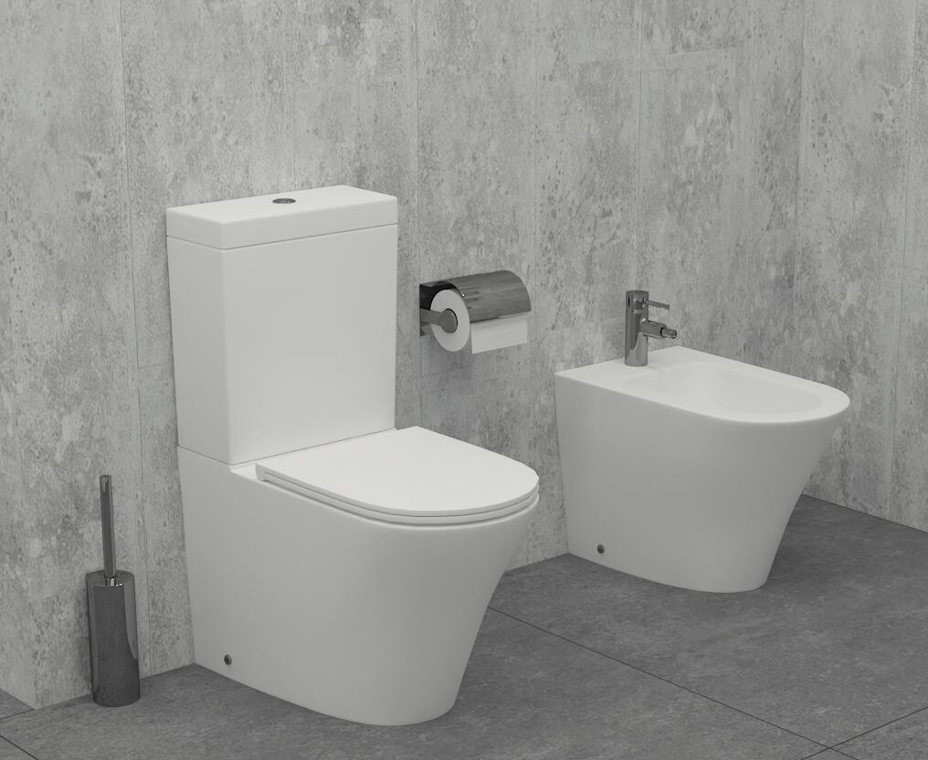 Биде напольное белое Jacob Delafon Rodin EBJ0002-00 с инсталляцией для биде Stworki 540201 - изображение 4